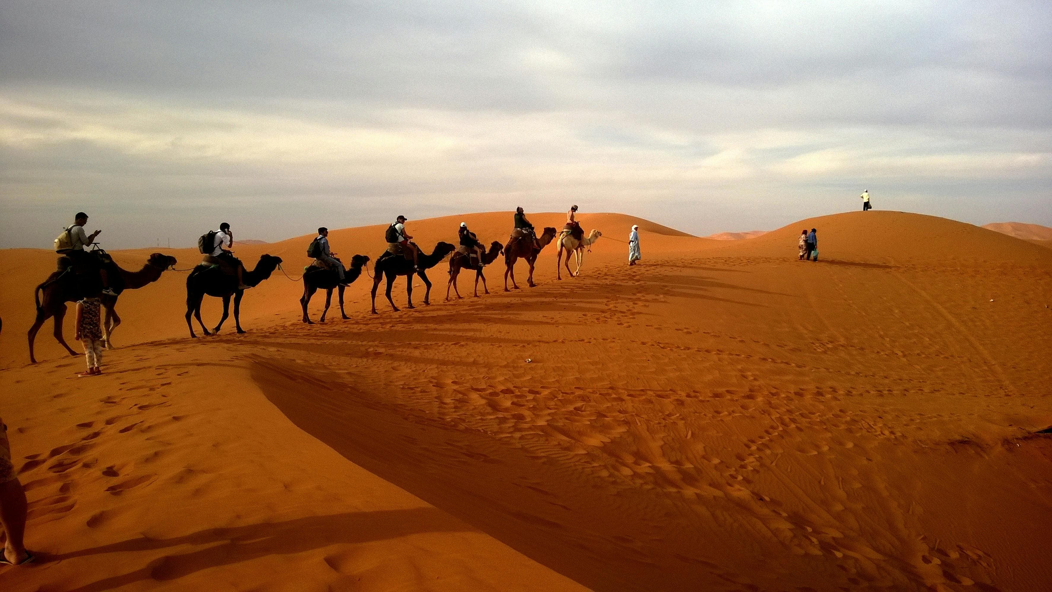 Rajasthan Heritage - Jaipur & Udaipur travel package